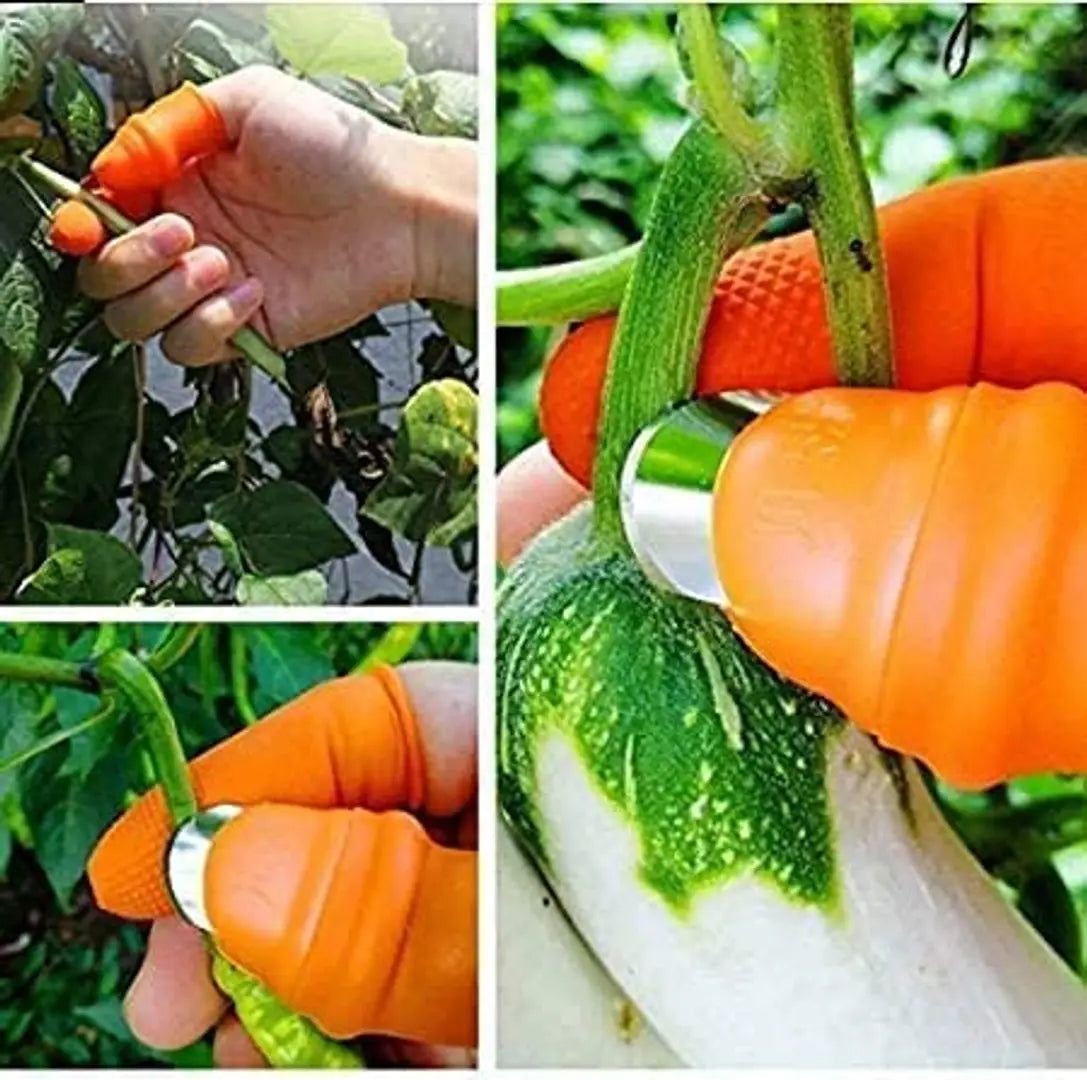 Thumb Cutter for Vegetables  Fruits